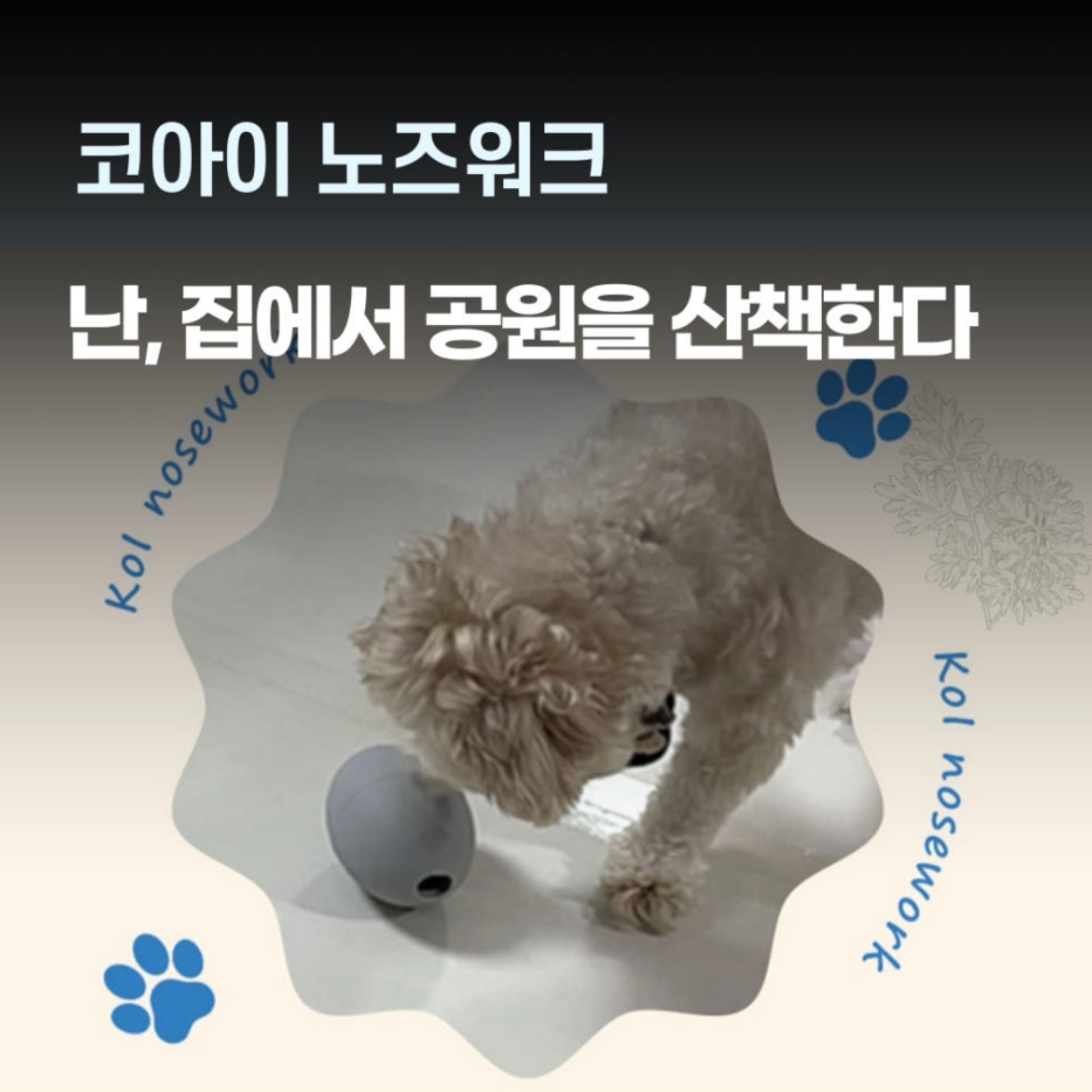 코아이 자연향이 나는 강아지 노즈워크 장난감 산책 공 간식,의료용 실리콘 국내제작